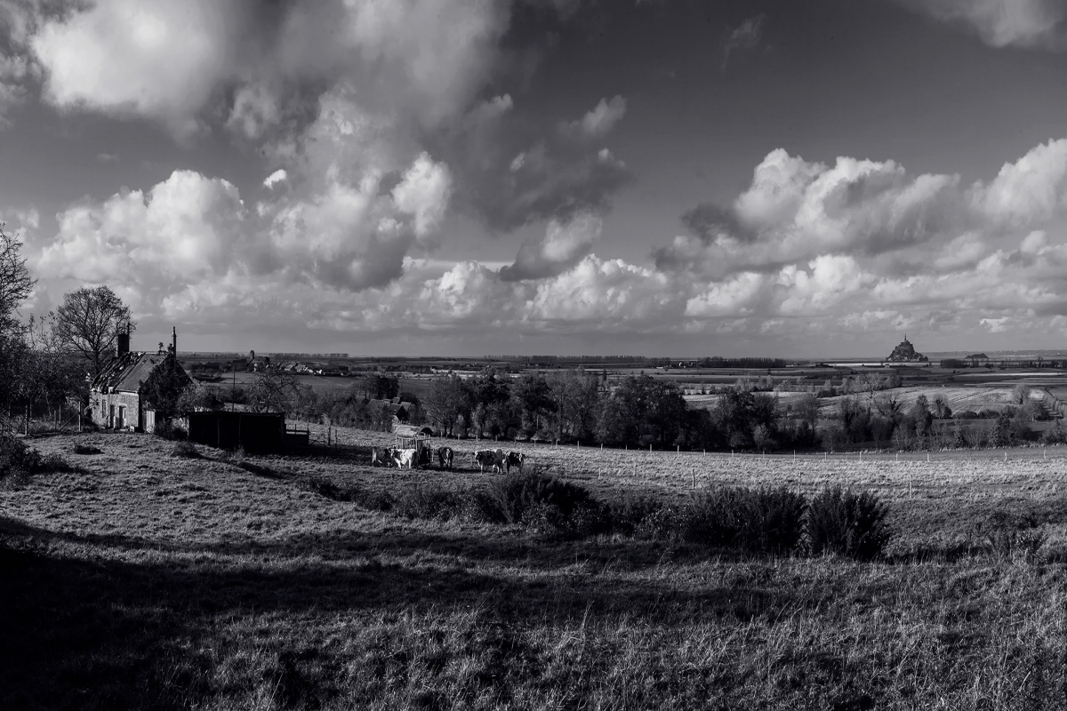 Loi climat, des mesures toujours à minima